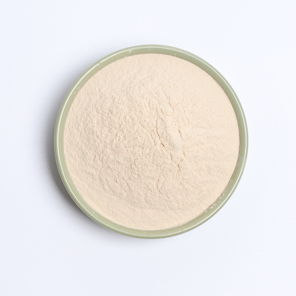 Broad Bean Extract Production 1