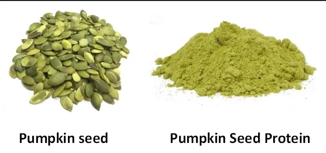 High Quality 100% Natural Pumpkin Seed Extract Organic Pumpkin Seed Protein