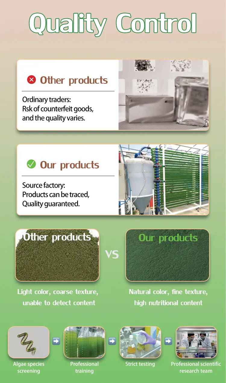 Select Natural High-Protein Spirulina Algae Powder