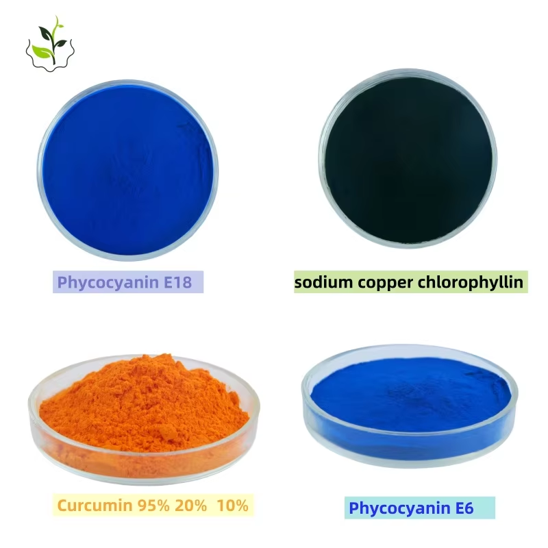 Commercial Bulk Order of Food Grade Brown Rice Protein Powder Concentrated Herbal Extract