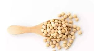 Soy Protein Isolate Used in Sports Drink and Nutritional Supplements