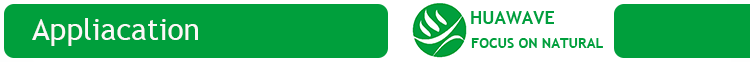 Functions and Applications Flowchart