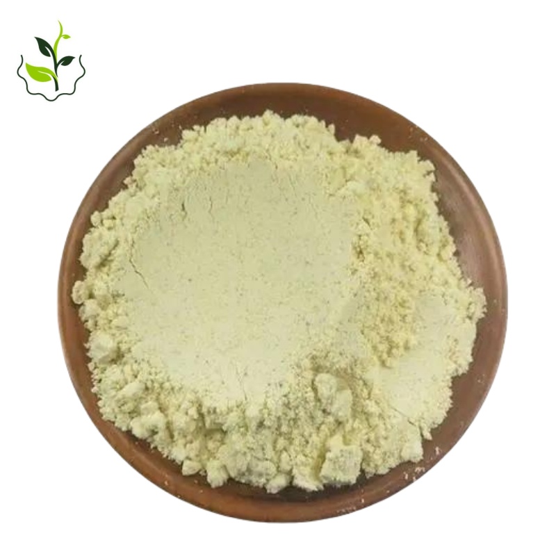Commercial Bulk Order of Food Grade Brown Rice Protein Powder Concentrated Herbal Extract