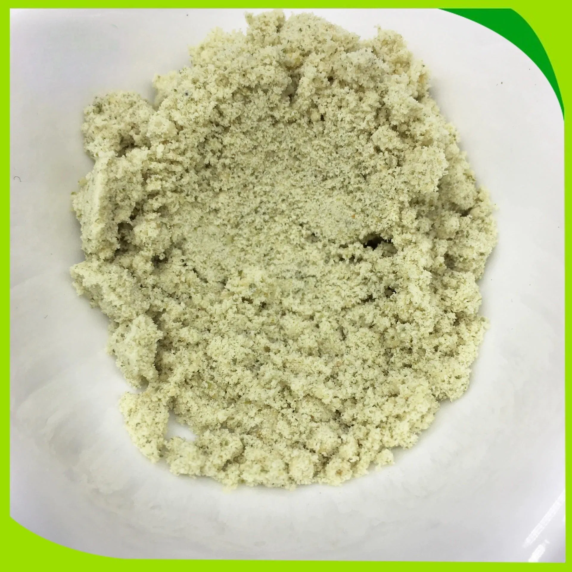 High Quality100% Natural Pumpkin Seed Extract Organic Pumpkin Seed Protein