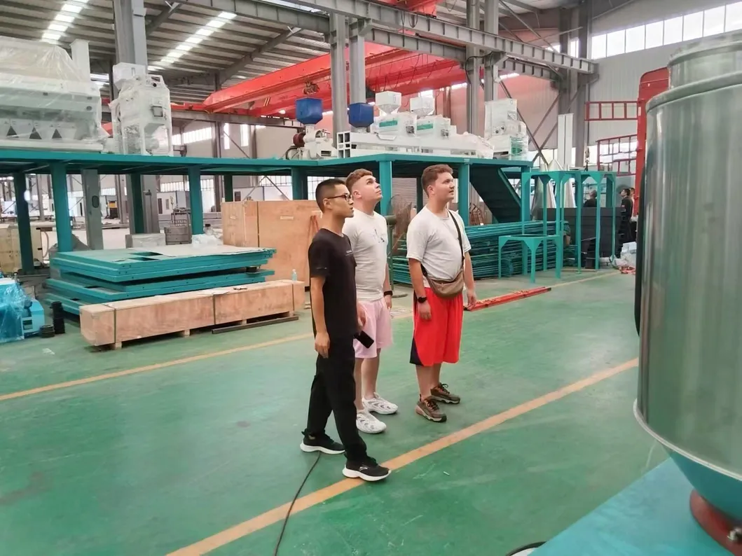 Oil Press Machine Canola Sunflower Soybean Oil Pressing Machine