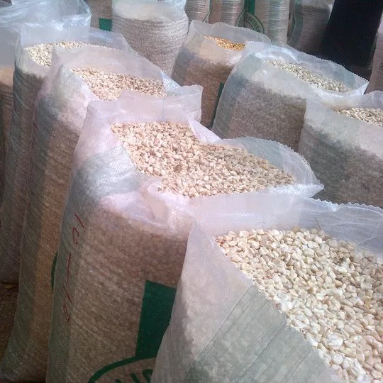 Bagged Yellow Corn Packaging