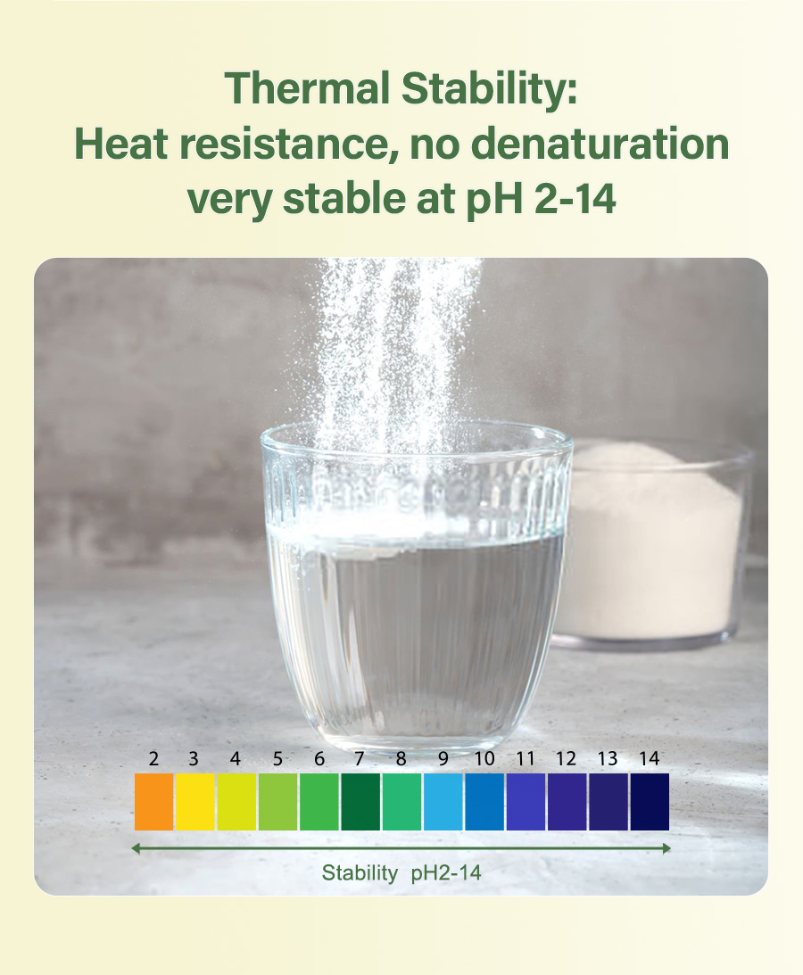 Pea Protein Peptide Display 4