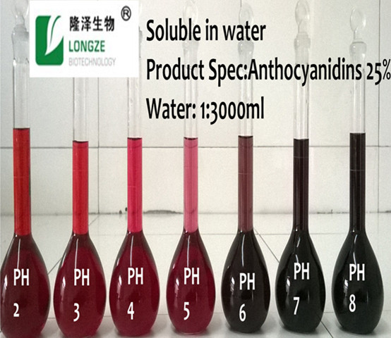 Solubility Test Performance