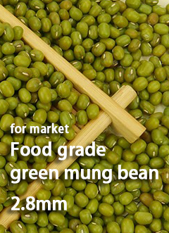 Mung Bean E