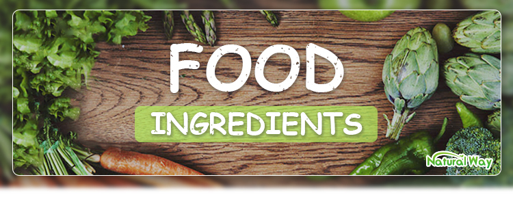 Lentil Protein Banner