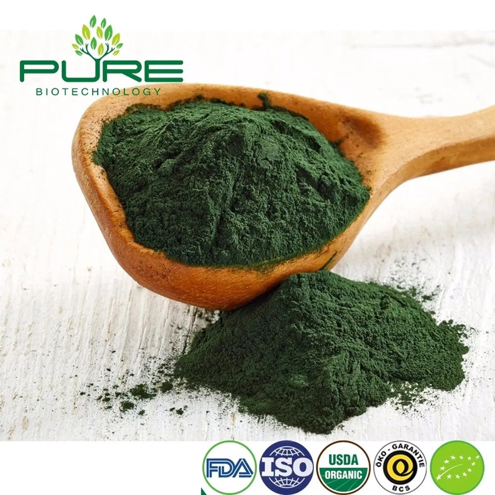 Sustainable Blue Green Algae Protein for Healthy Energy Bars
