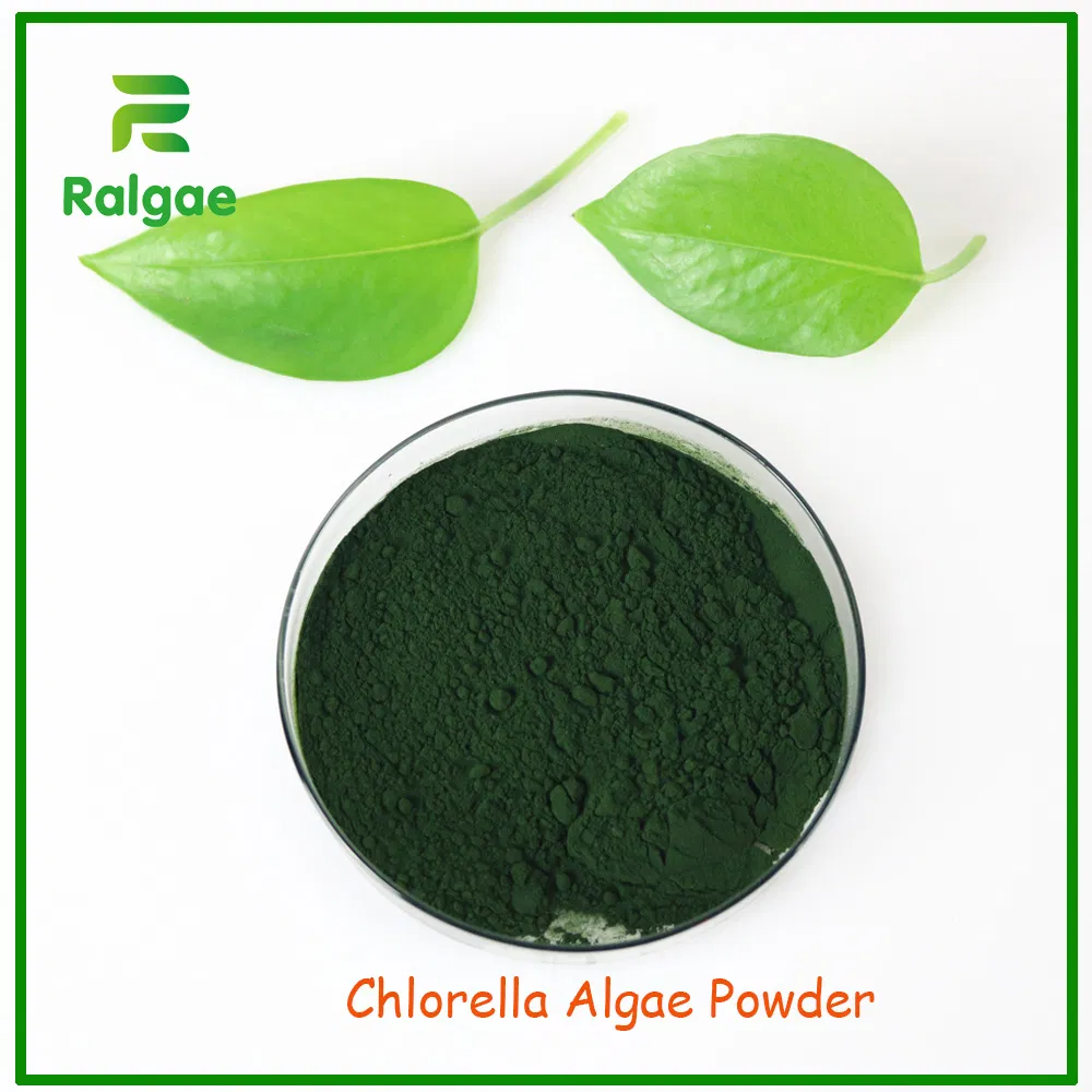 Foods Grade Chlorella Algae Powder High Protein for Nutrition Supplement
