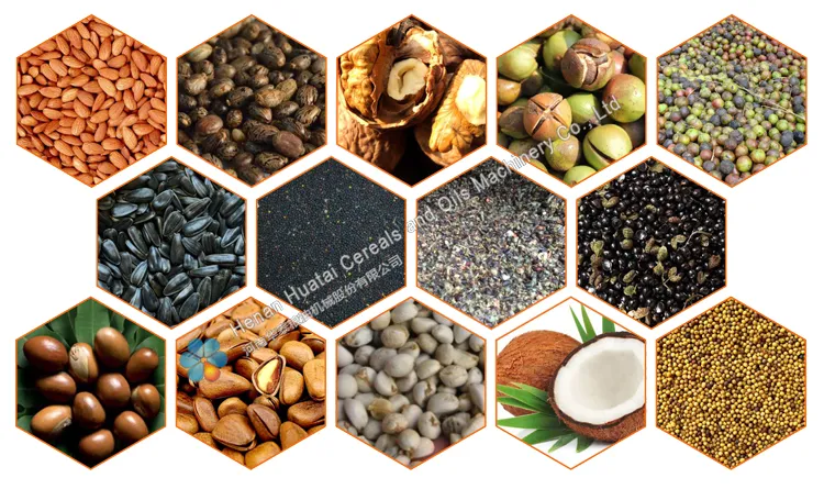 Sunflower Cottonseed Canola Oil Refinery Equipment