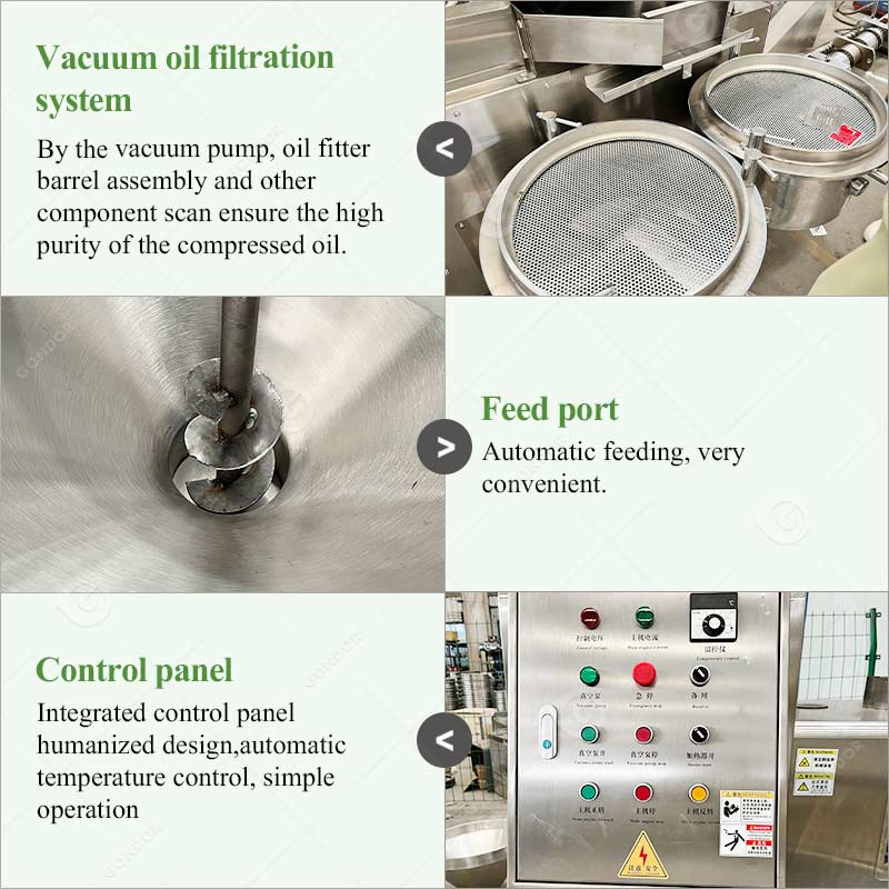 Sunflower Seed Cold Process Cashew Nut Soybean Extruder Make Avocado Cooking Extraction Mustard Expeller Canola Oil Machine