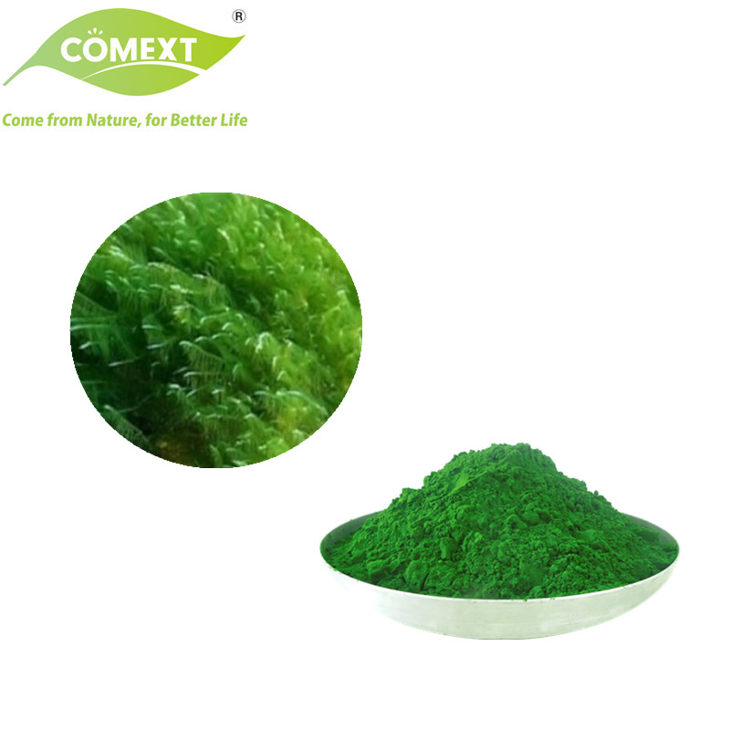 Comext Spirulina 10: 1 Polysaccharides (PSP) 10-70% β -Carotene Food Additive Skin Conditioning Agent Vitamin Protein Chlorella Spirulina Extract