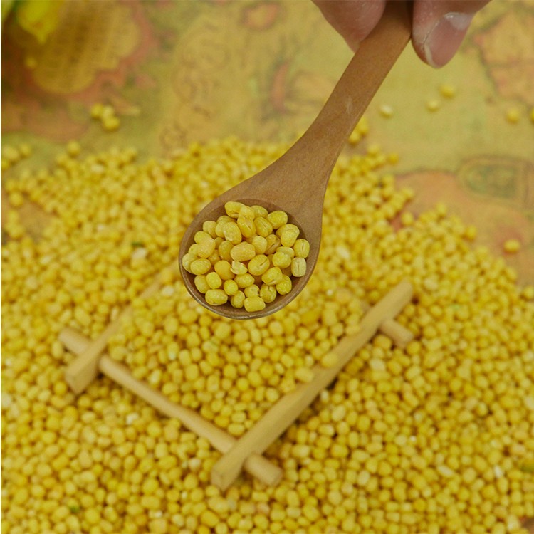 Bulk Storage