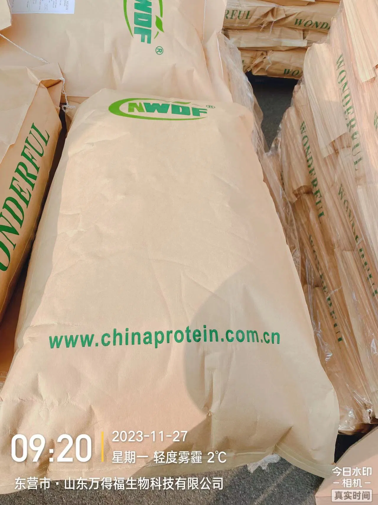 Premium Soy Protein Concentrate for Optimal Fermentation Benefits