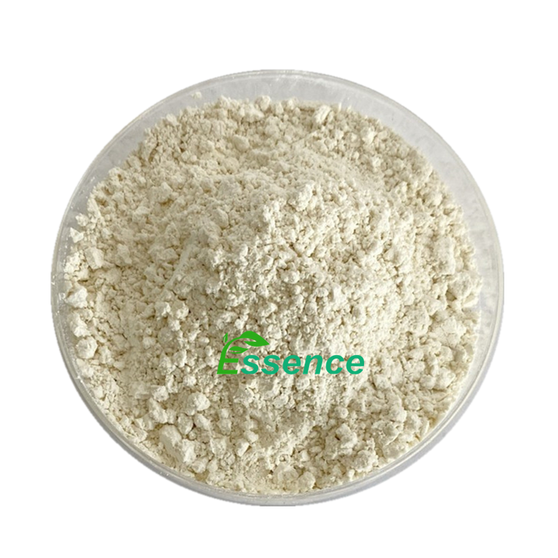 Natural Plant Extract Hemp Powder Hemp Protein Powder Capsules Nutritional Supplements