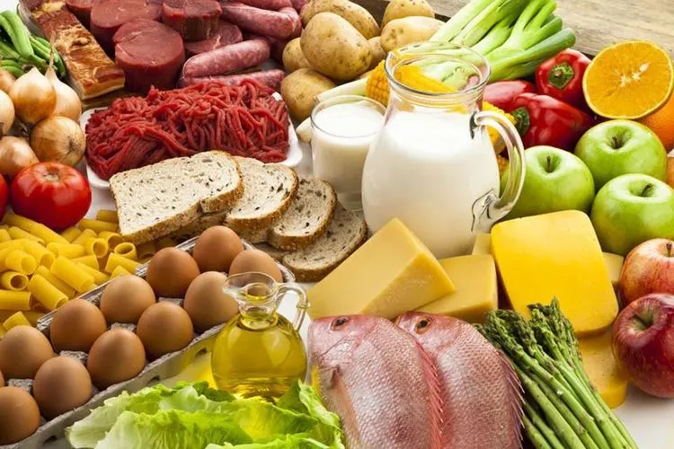 Food Industry Application