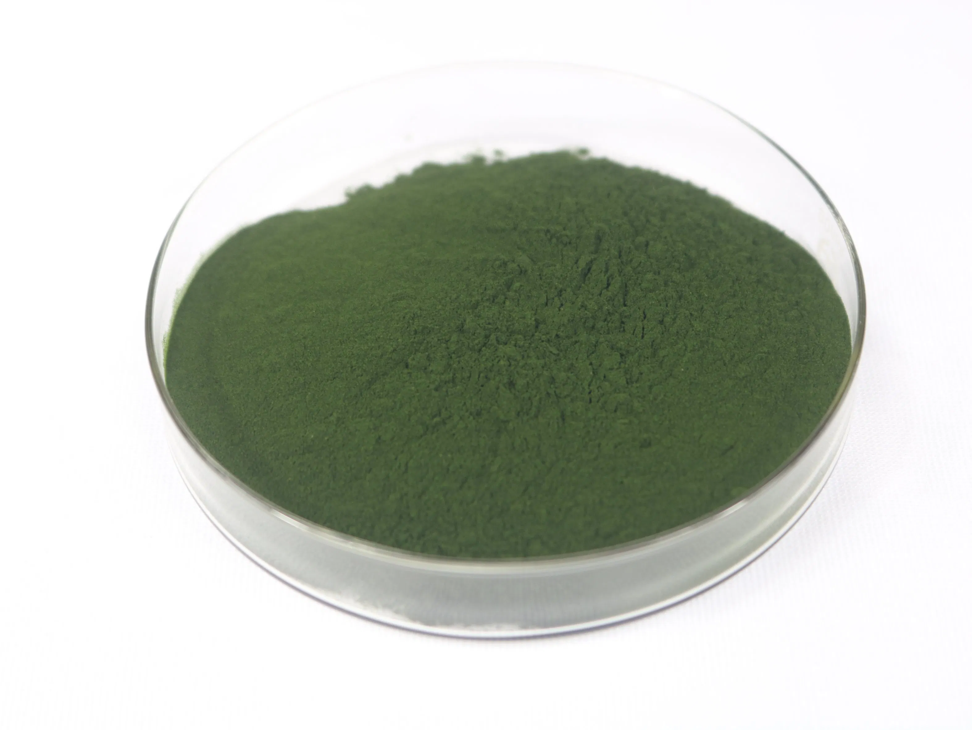 Free Sample of Chlorella Powder From Green Algae High Protein