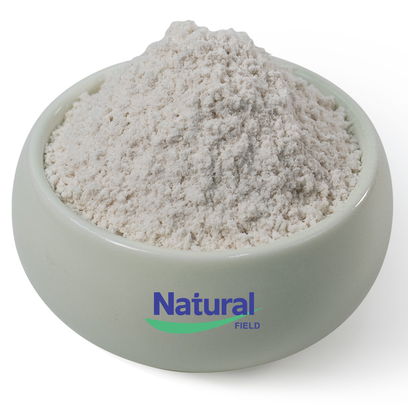 Pumpkin Seed Extract Powder