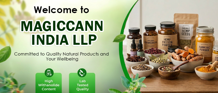 Hemp Protein Banner