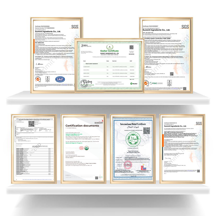Application Sample 2