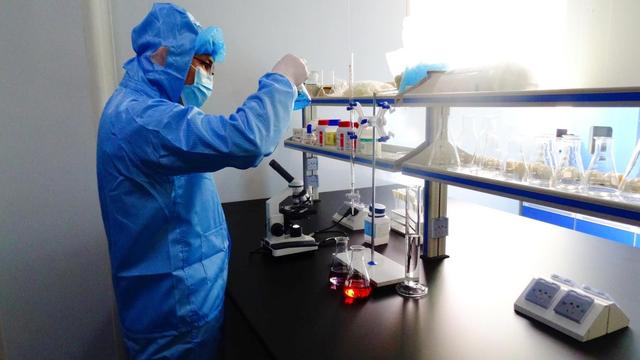 Hangzhou Entry Bio plant protein manufacturing facility overview