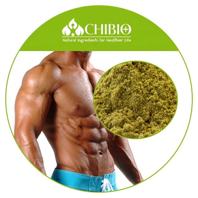 Hemp Seed Extract with Wholesale Price 50% Hemp Protein Raw Material Powder