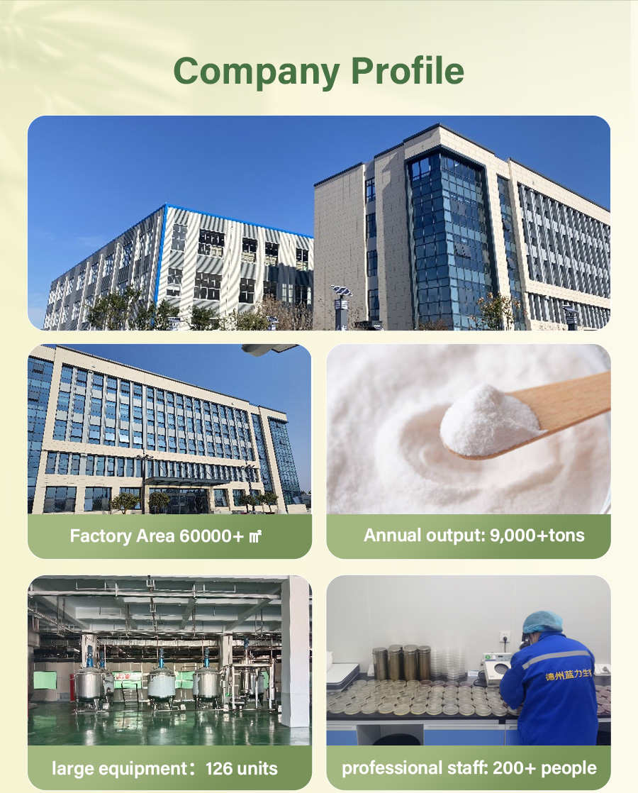 Laboratory Analysis