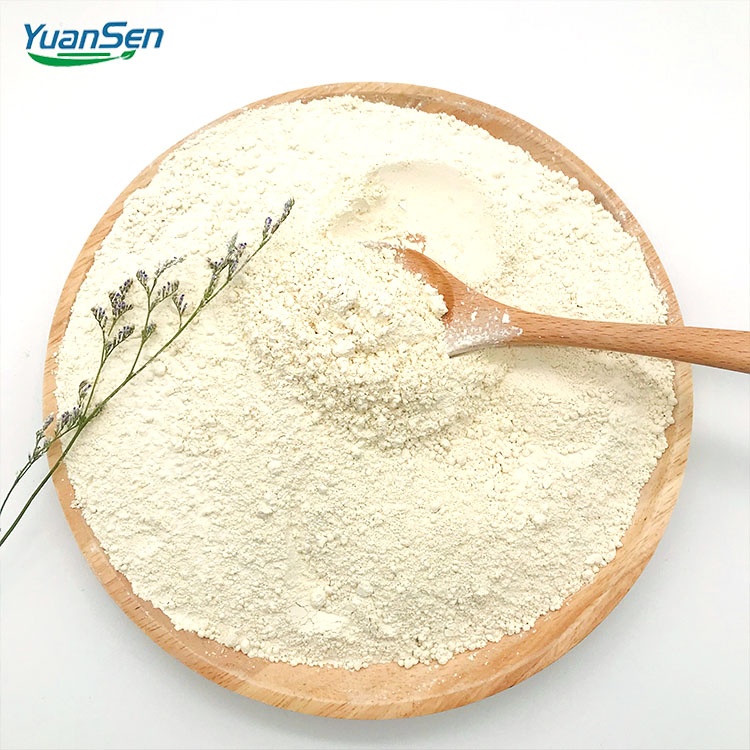 600 Mesh Isolated Rice Protein Powder