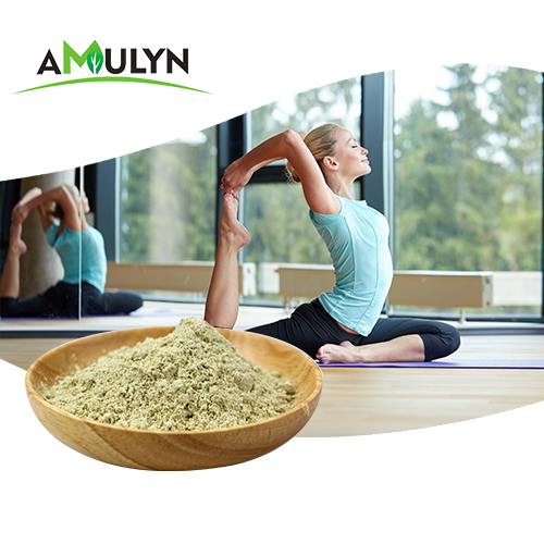 Amulyn Supply Nongmo Natural Organic Hemp Seed Protein Powders for Nutritional Supplement