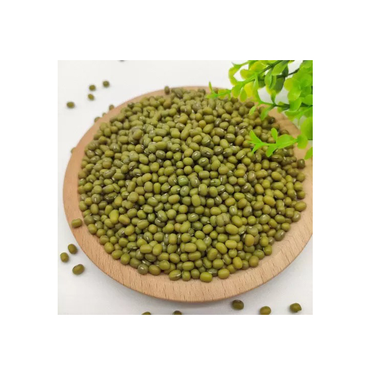 Mung Beans Wholesale Supplier