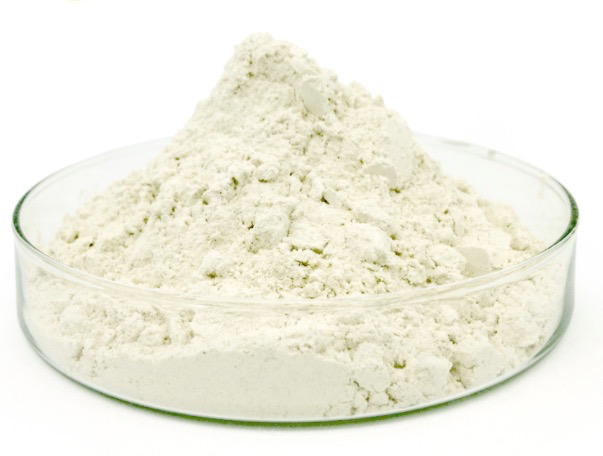 Wholesale High Quality Hemp Seed Extract Organic Hemp Protein