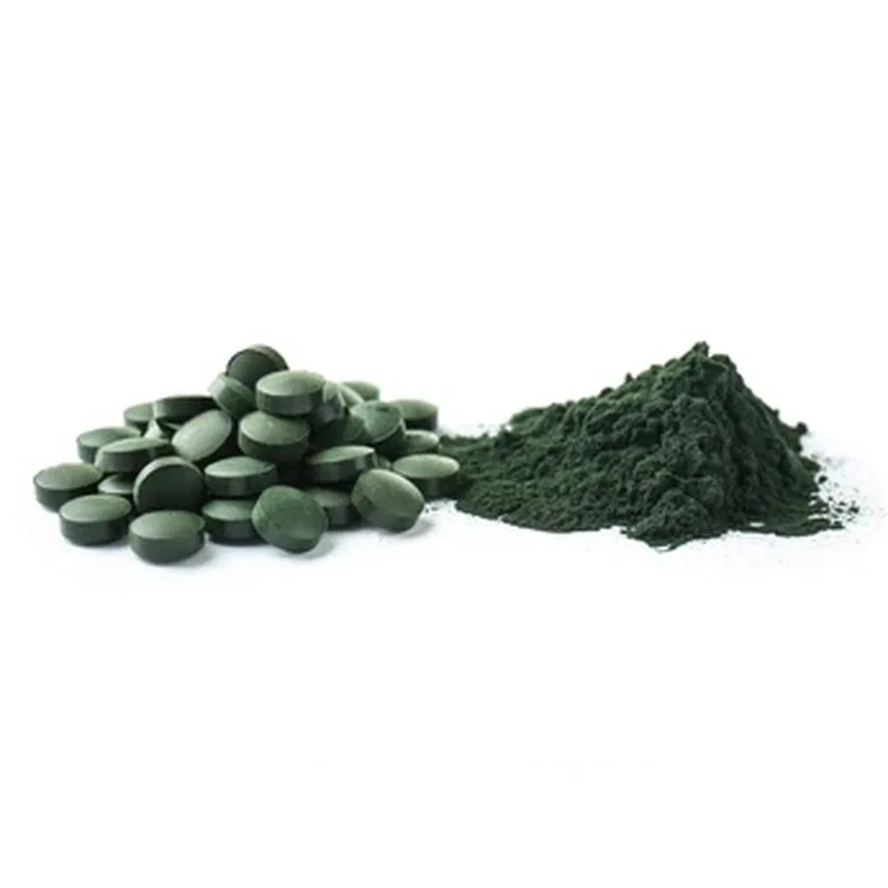 Premium Organic Spirulina Protein Powder for Immune Health