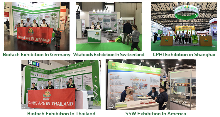 Exhibition Booth