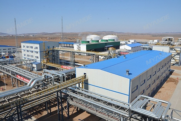 Oil Seed Crushing Equipments for Vegetable Oil Turnkey Production Line, Canola, Sunflower Seed, Soybean, Peanut, Palm Kernel Preparation Machine