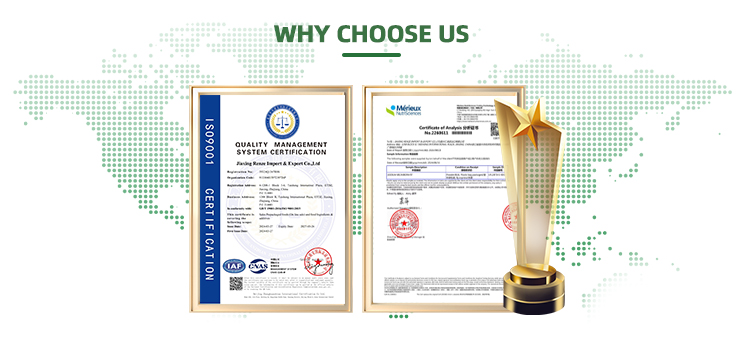 Best Price Premium Organic Rice Protein Powder High Quality Food Additives Food Grade