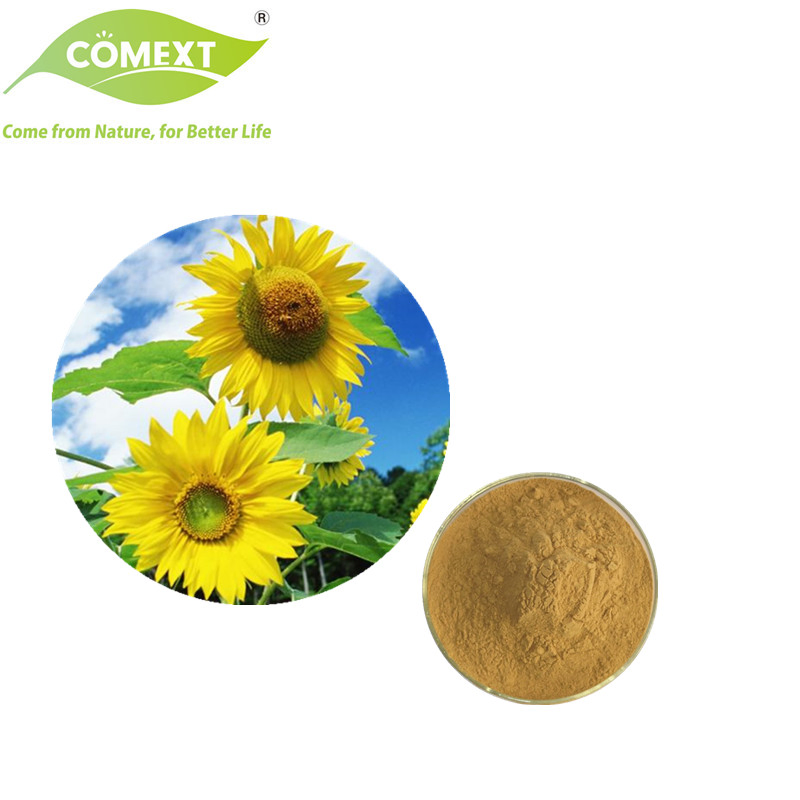 Comext 100% Natural Free Sample 10%~30% Sunflower Disk Alkaloid 10: 1 Sunflower Disk Extract /Sunflower Protein Powder