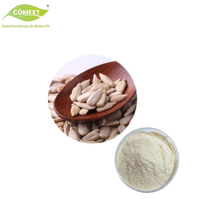 Comext Sunflower Seed Powder Food Ingredients Vegan Sunflower Seed Extract Sunflower Protein Powder