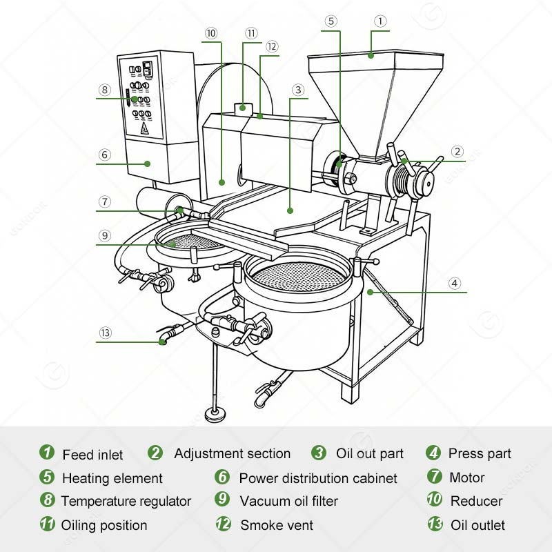 Sunflower Seed Cold Process Cashew Nut Soybean Extruder Make Avocado Cooking Extraction Mustard Expeller Canola Oil Machine