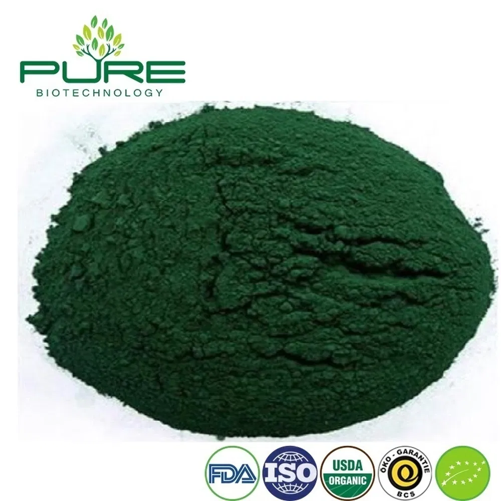 Organic Spirulina Protein Powder for Natural Energy Boost