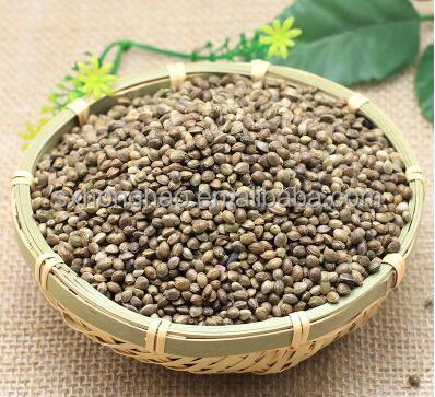 Wholesale High Quality Hemp Seed Protein Powder