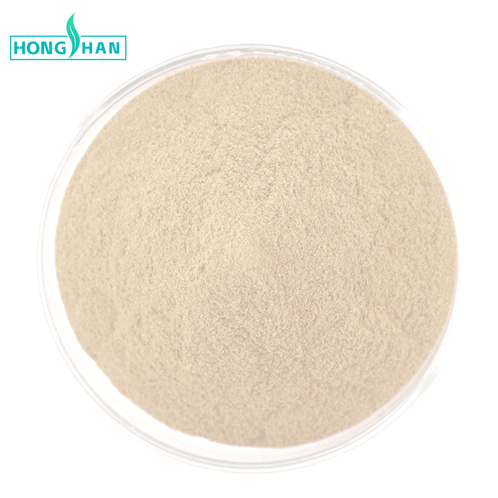 Food Grade Organic Chickpea Protein 80% Chickpea Protein Powder Chickpea Powder