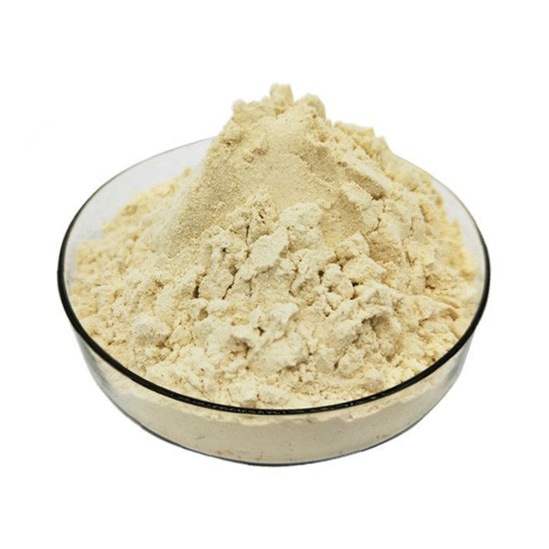 SPI Isolate Soy Protein Powder