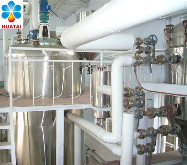 Canola Oil Processing Equipment Oil Extraction and Refinery Workshop