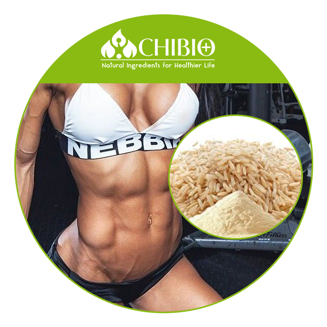 Best Selling Organic Brown Rice Protein 80% for Health Care Body Protecting