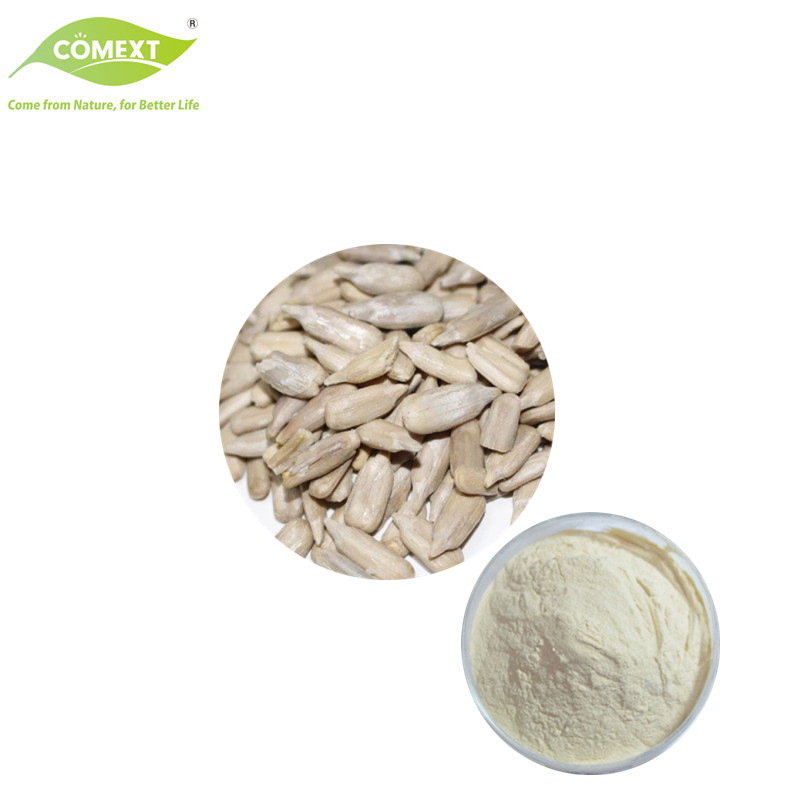 Comext Sunflower Seed Powder Food Ingredients Vegan Sunflower Seed Extract Sunflower Protein Powder
