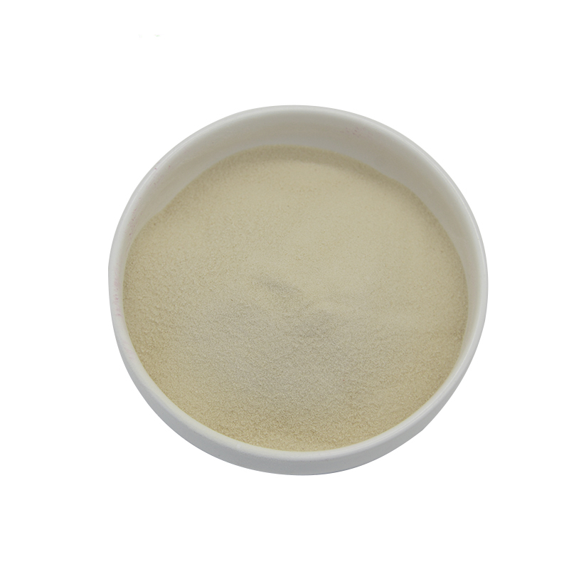 Factory Wholesale Natural Pumpkin seed Extract Bulk Pumpkin Seed Extract Supplements Food Grade Pure Pumpkin Protein Powder
