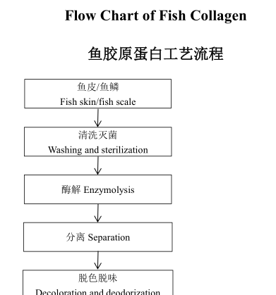 Specification Sheet 2